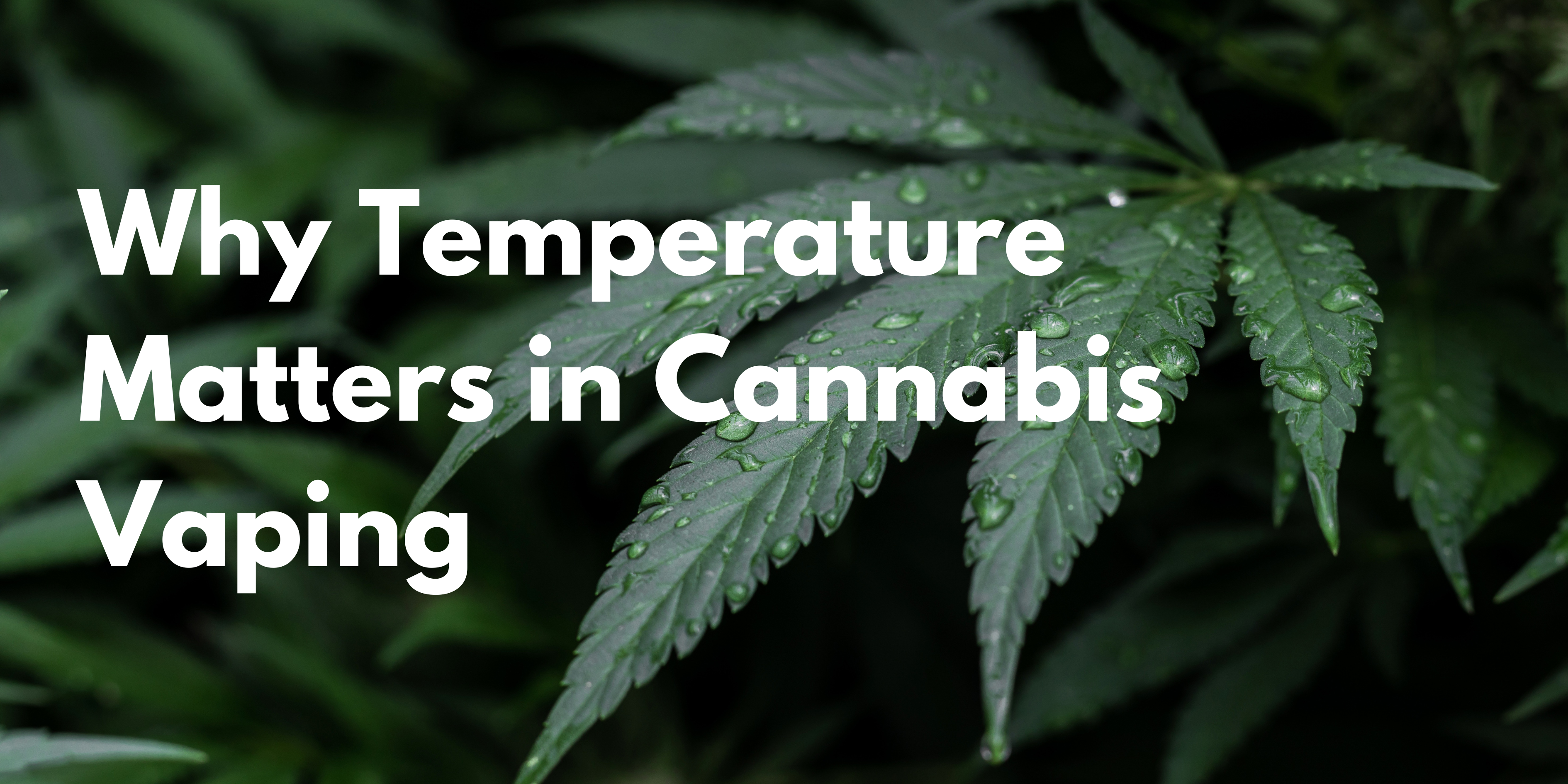 The Ultimate Guide For Vaping Temperature